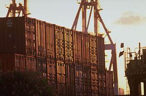 シーズニングの効果と選び方を徹底解説！2025年最新ガイド