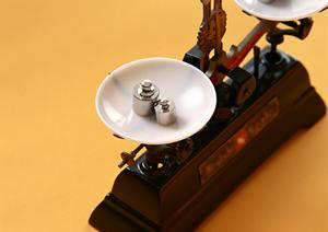 用途に合わせた転圧機を選べる通販ショップ